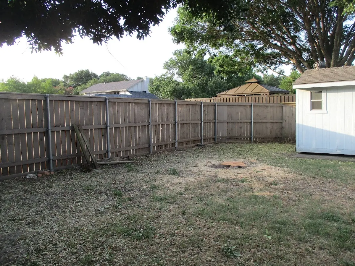 Cleared yard after professional tree removal in Newnan