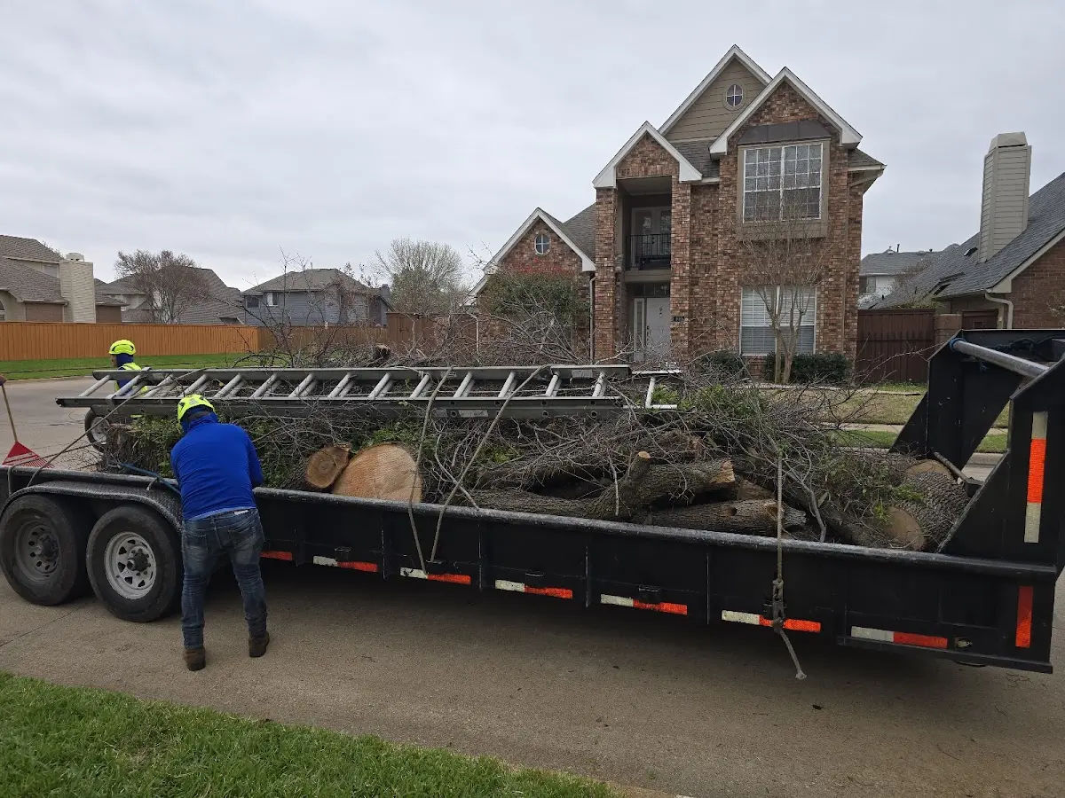 Expert Tree Removal with proper safety equipment in Newnan